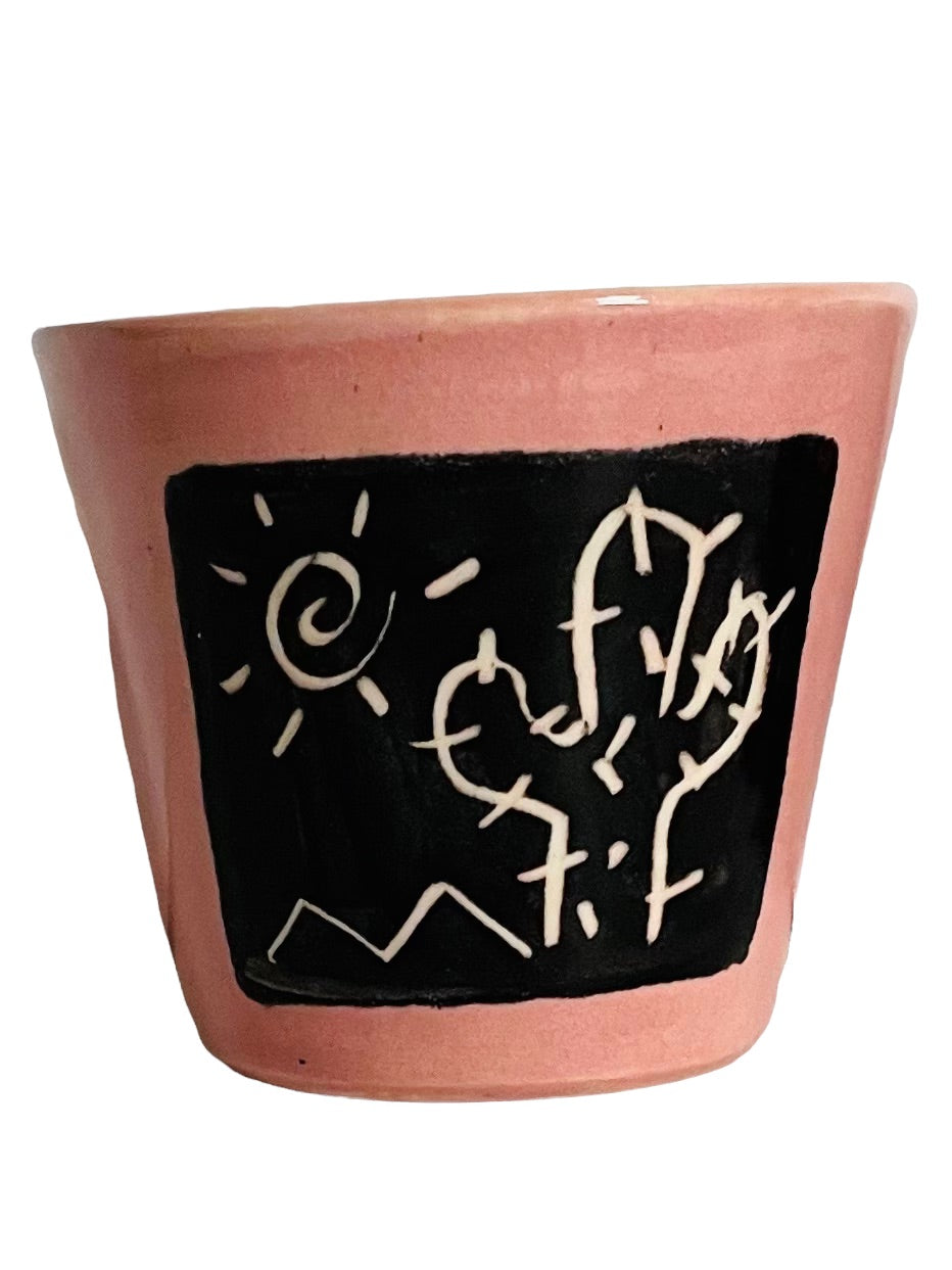Cactus flowerpots