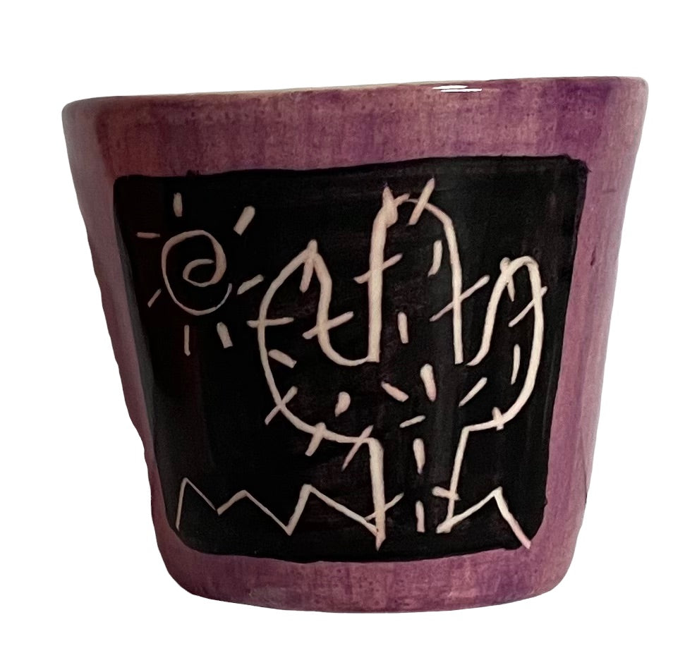 Cactus flowerpots