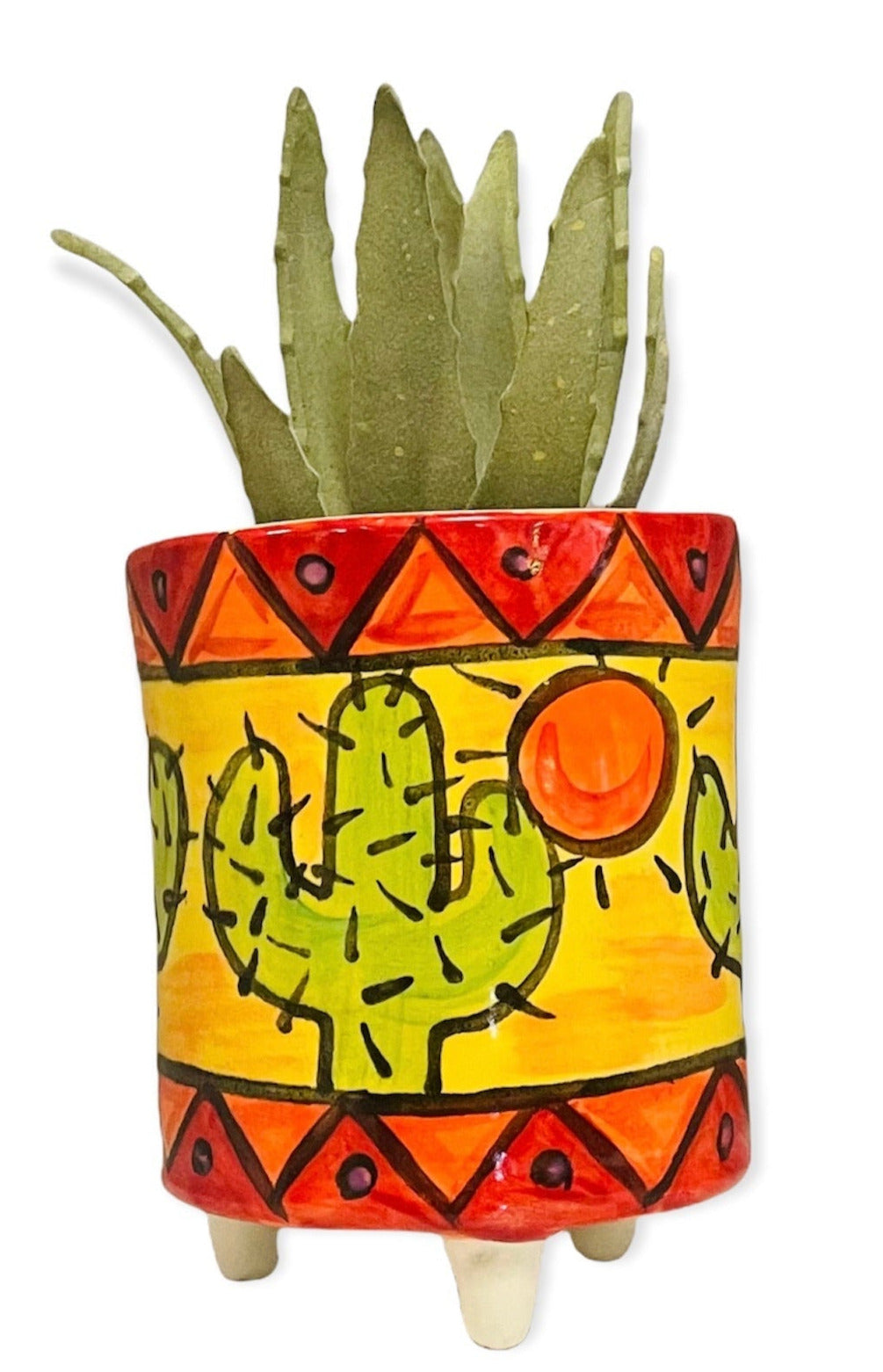 Cactus flowerpot