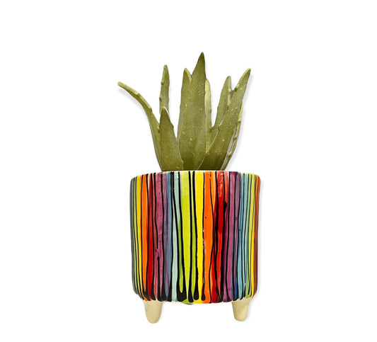 Rainbow stripes flowerpot