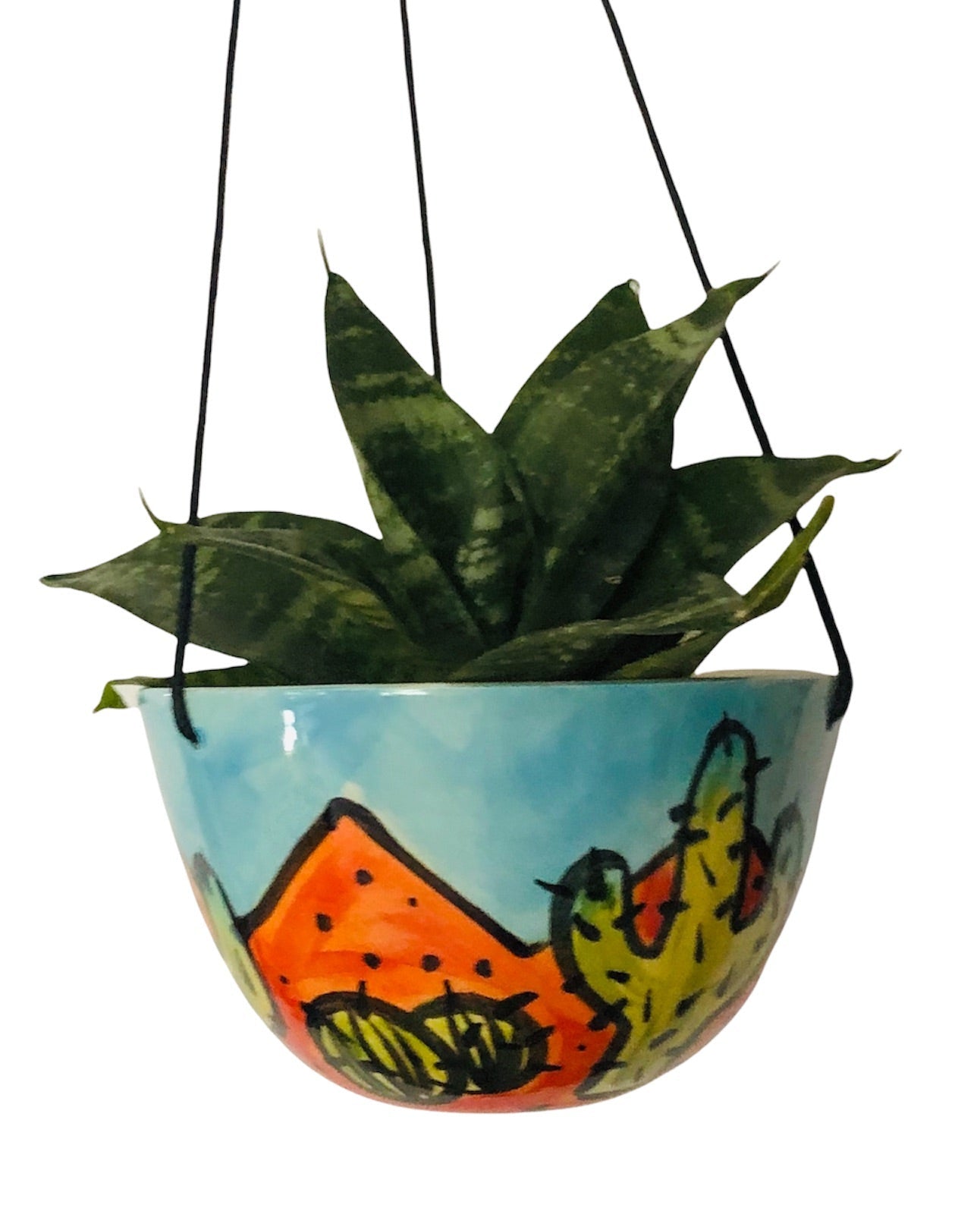 Cactus hanging pot small