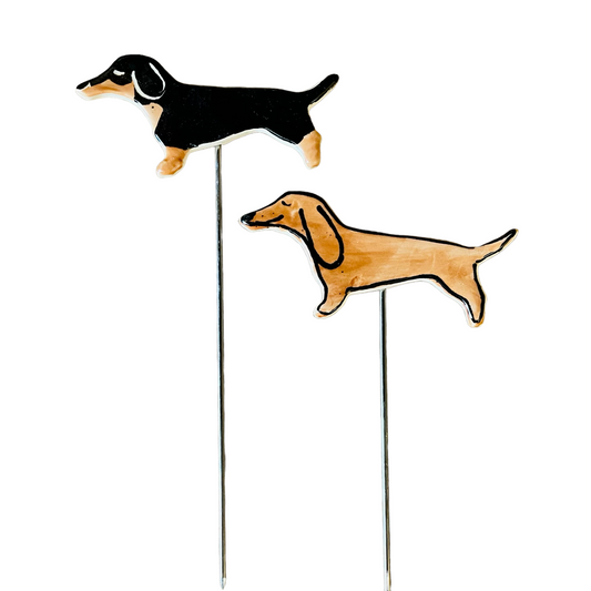 Dachshund Pot Stakes